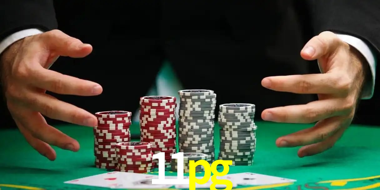 cassino 11pg